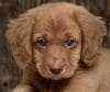post-20971-0-85608000-1427231462_thumb.j