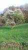 post-21165-0-92337700-1459893966_thumb.j