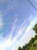 post-13274-0-01594600-1431945434_thumb.j