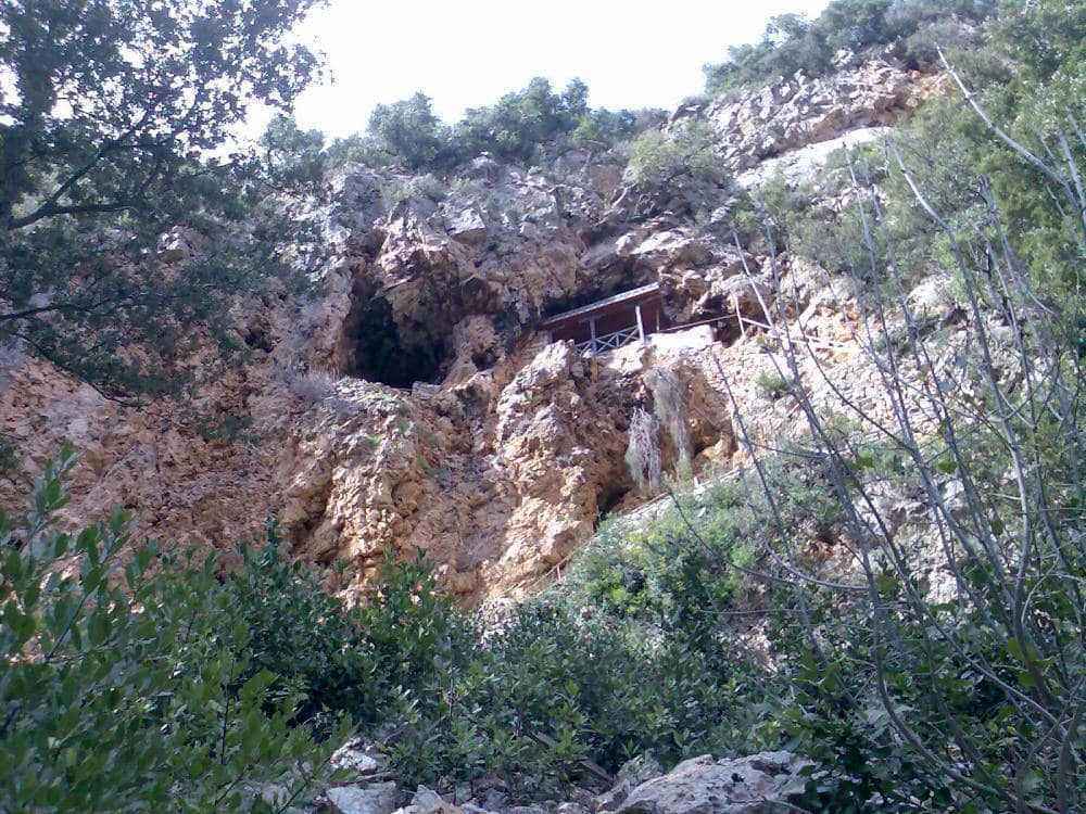 Domaći snimci001.jpg