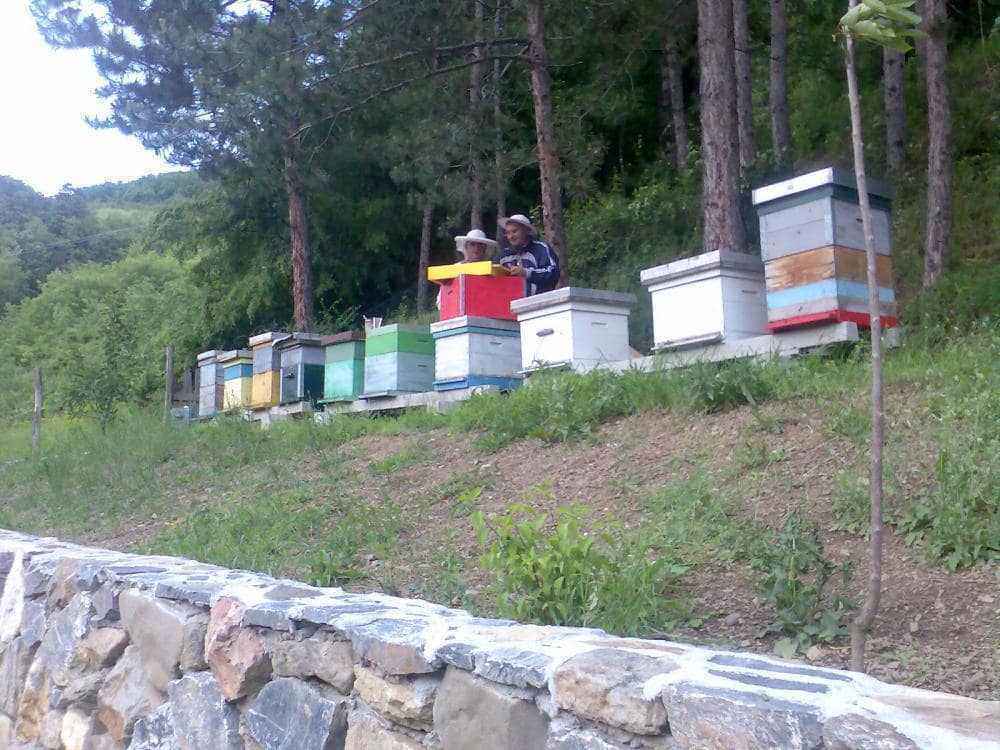 Domaći snimci159.jpg