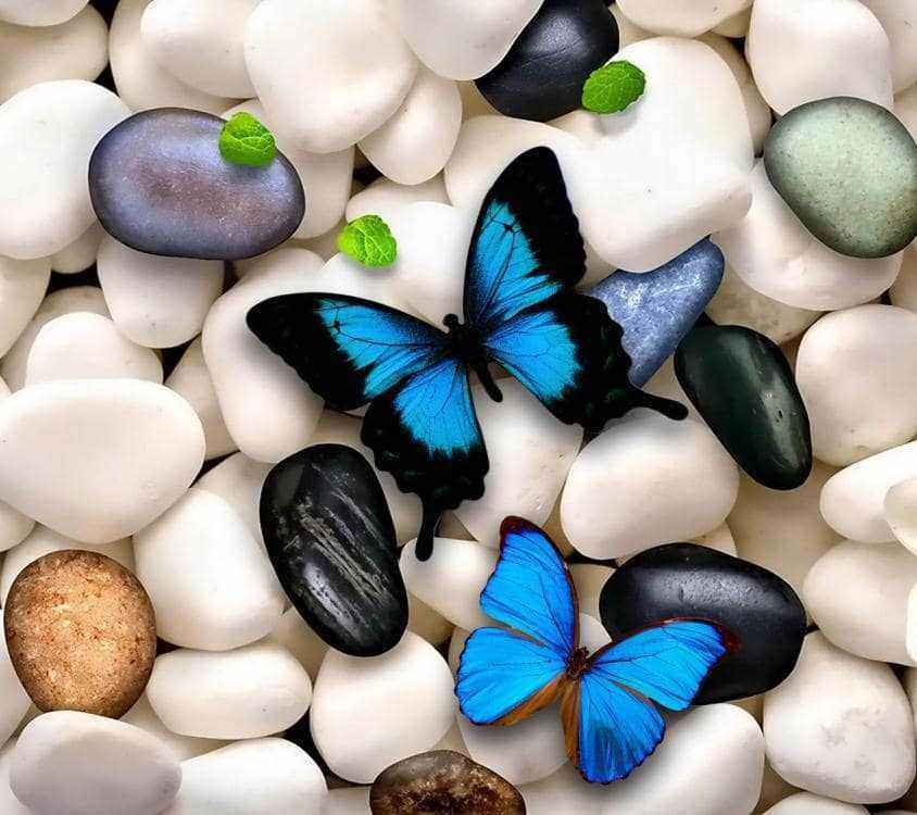 Butterfly_n_Pebbles-wallpaper-10510973.jpg