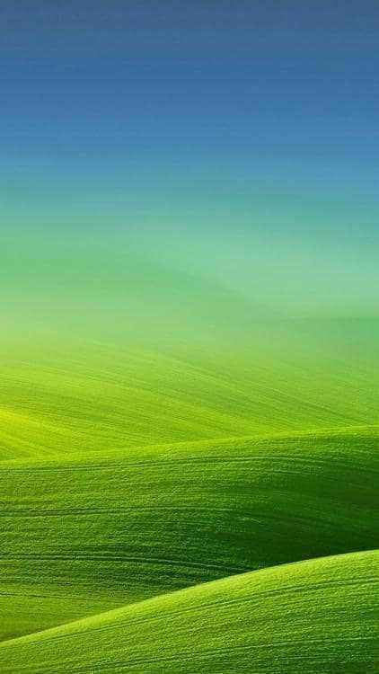 Oppo-wallpaper-10551200.jpg