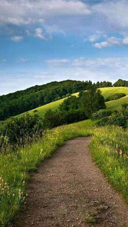 Spring_road-wallpaper-10307579.jpg