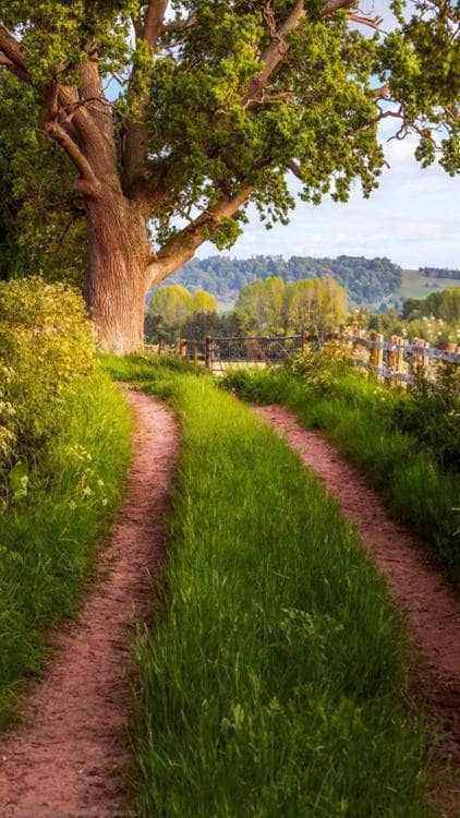 nature_6-wallpaper-10897015.jpg