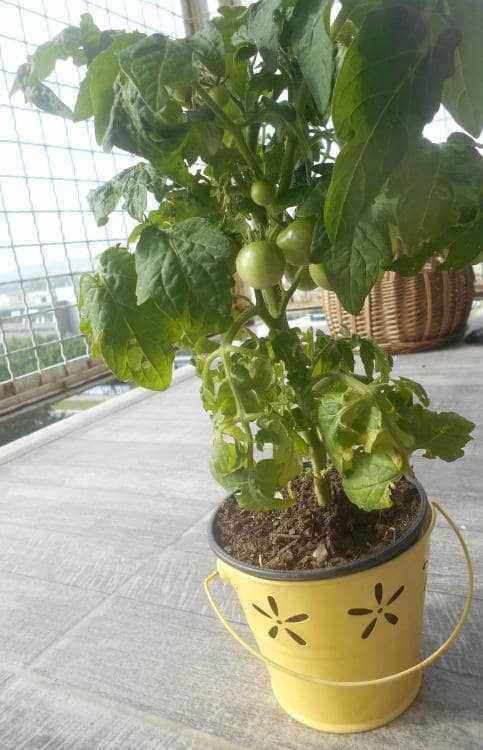 83.jpg