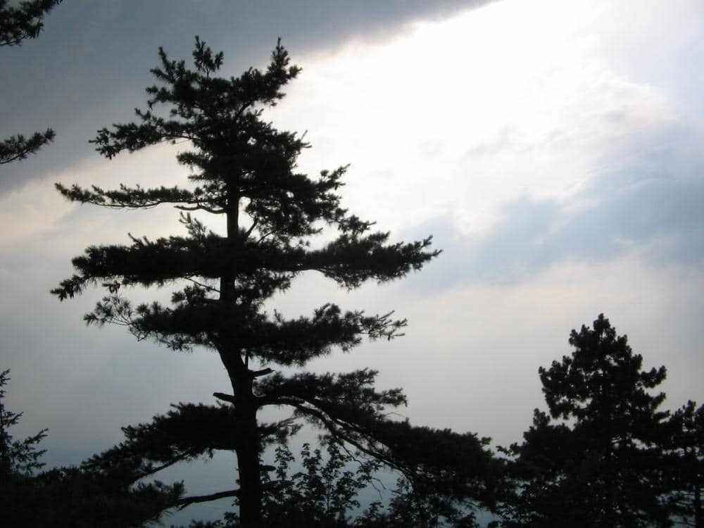 IMG_0169.JPG