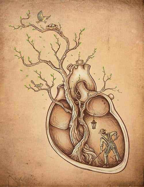 heart.jpg