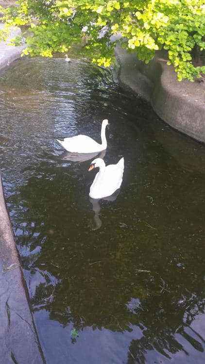 20150517_174707.jpg