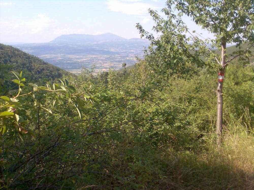 Domaći snimci261.jpg