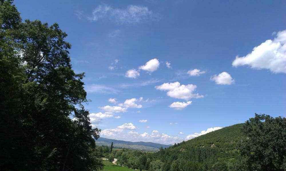 IMAG0060.jpg