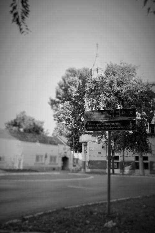 IMG_1476 (2).JPG
