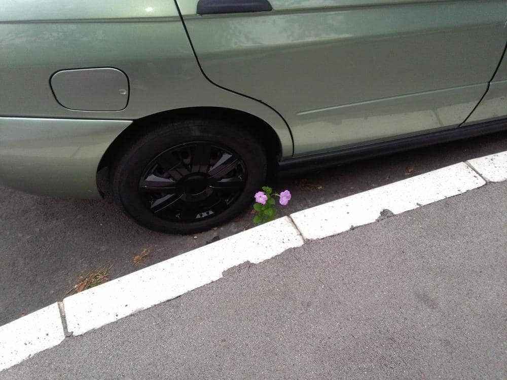 59.jpg
