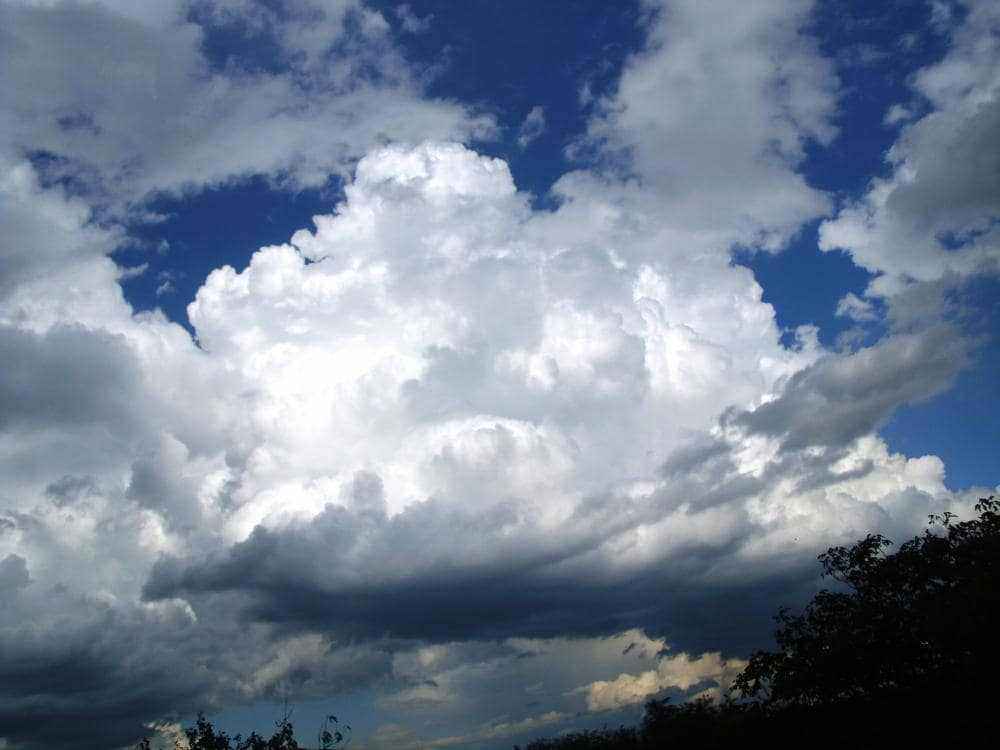 DSCI0548.JPG