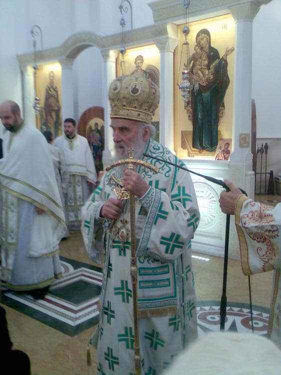 Domaći snimci055.jpg