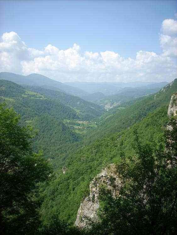 DSCN0480.JPG