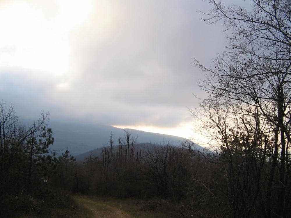 IMG_1417.JPG