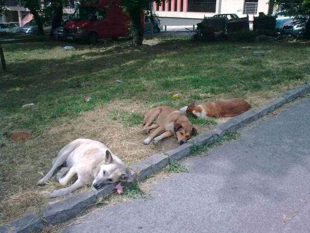 Slika0998.jpg
