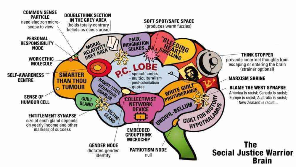 sjw_brain.jpg