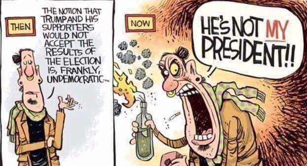 FB_IMG_1484836726979.jpg