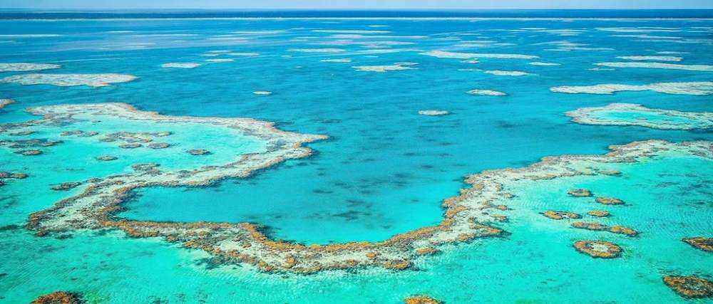 reef-rings.jpg