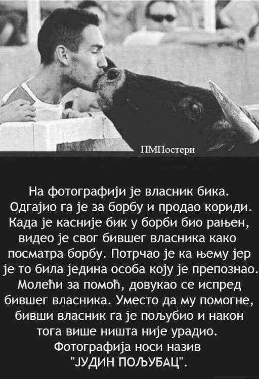 IMG_1493029560810.thumb.jpg.32d70cf0665ba4891685c07b277bbdec.jpg