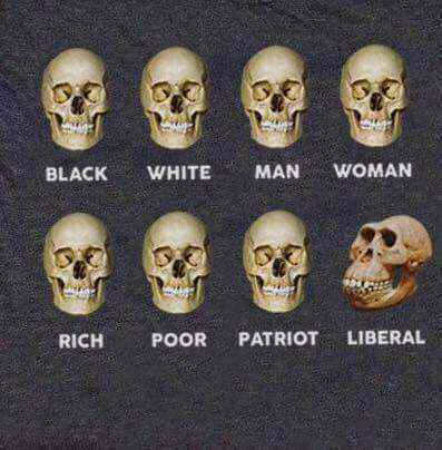 FB_IMG_1493994053405.jpg.4523854c8f26e1db9c596fefe856fd6d.jpg