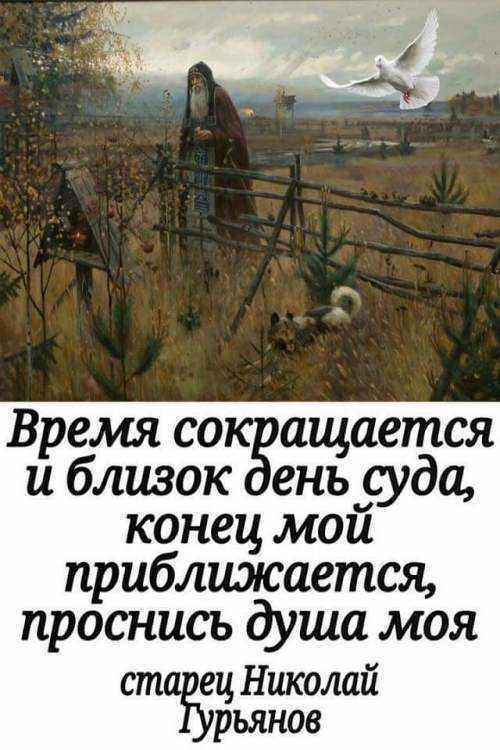 FB_IMG_1497975692610.thumb.jpg.0fa724cc72c716475f1ba551733f0597.jpg
