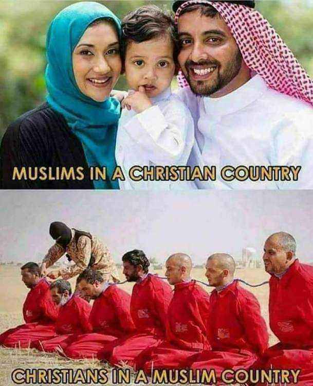 FB_IMG_1498916935527.jpg