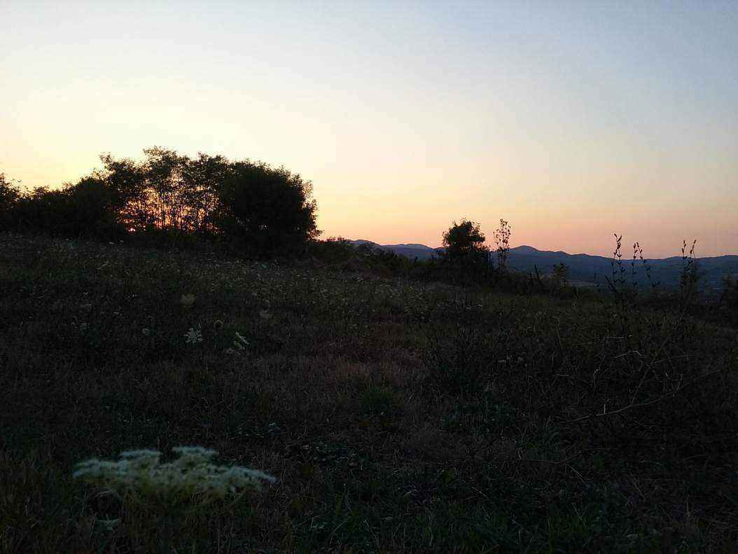 20170823_191444.jpg