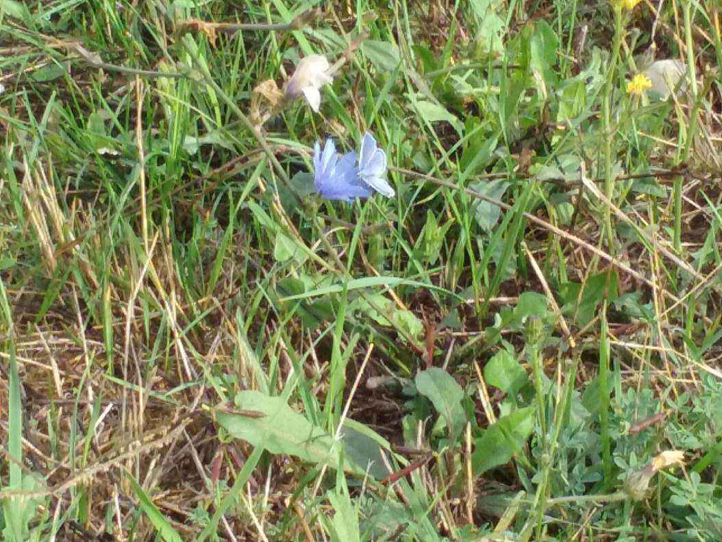 20170927_092347.jpg