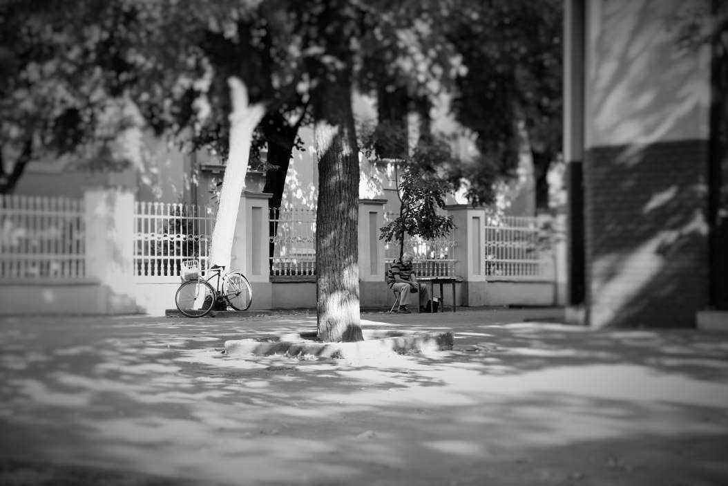 IMG_4066 (2).JPG