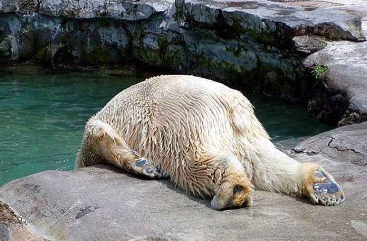 hangover-cures-sunshine-coast-3_740_486_s_c1.jpg.8cb163fb82a74bae9acd83275d67e5a0.jpg