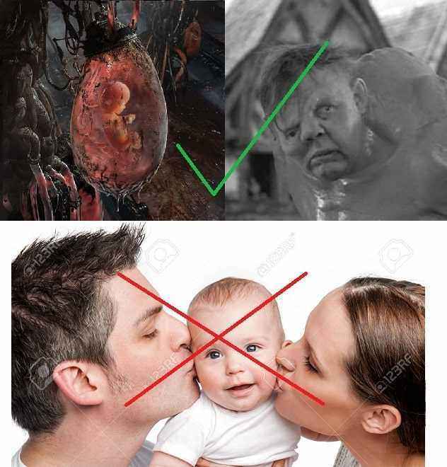 matrix-baby-pod1.jpg.33ff0dcd773f506ac4b76fabc9bf641a.jpg