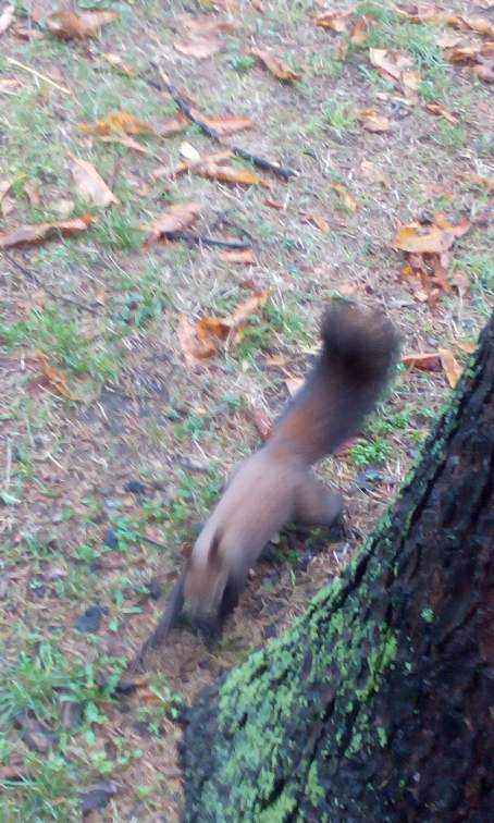 IMG_20171025_104054.thumb.jpg.bd9f553fd35c4bfb53ffac6f9c91d62c.jpg