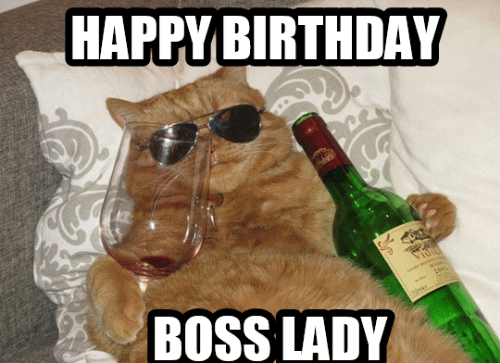 happy-birthday-boss-lady-memes-com-14274122.png.ec936da521edb0eb88a3f5208ef2a26f.png