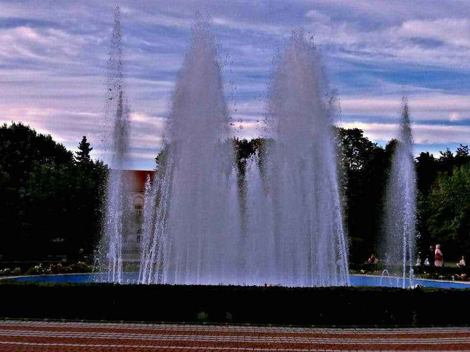 23574334_1366162586844584_678875529_n.jpg.f299643572329b1cd5e1535f75c9609a.jpg