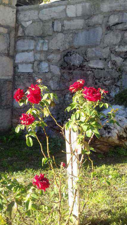 5a2fbdbb731d5_manastir6.thumb.jpg.c46d5ce3391a78259d68f88efa872321.jpg