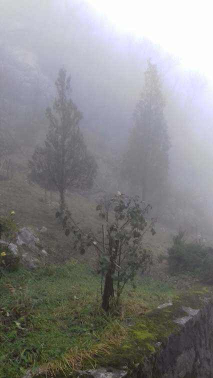 5a2fc42b1033f_Manastir9.thumb.jpg.73b33ed8374e66fd6f5b67c80da646f8.jpg