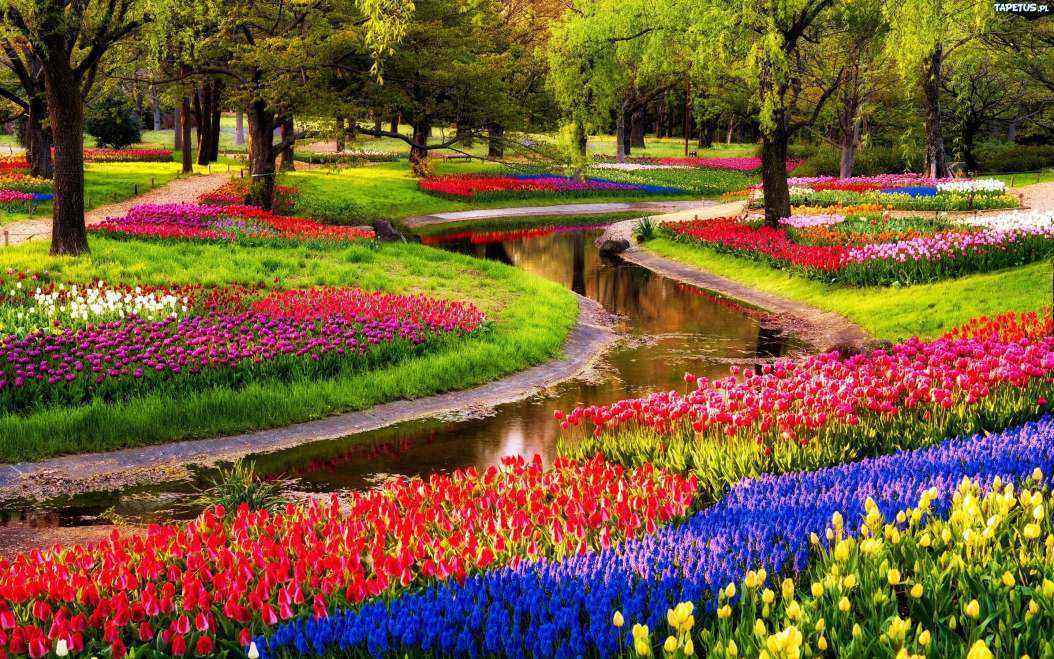 Keukenhof.original_6040.jpg