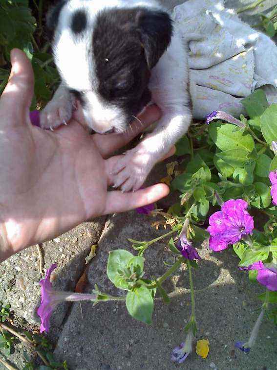 27-09-09_1419.thumb.jpg.cb2419e4019bc512bae0b3ef7e1c234a.jpg
