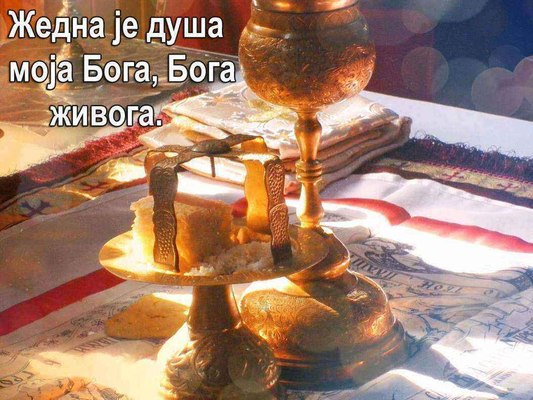 pouka zedna.jpg