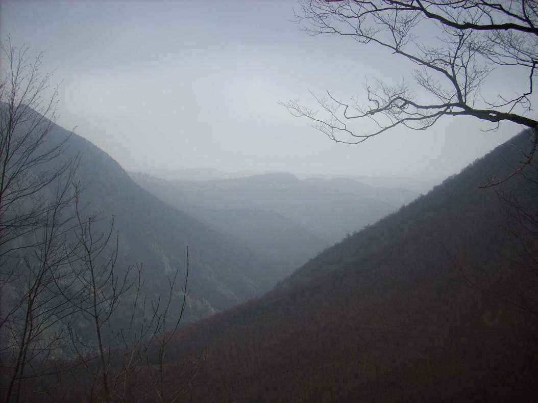 DSCN0040.JPG