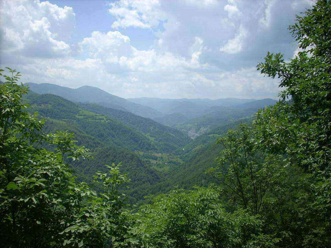 DSCN0512.JPG