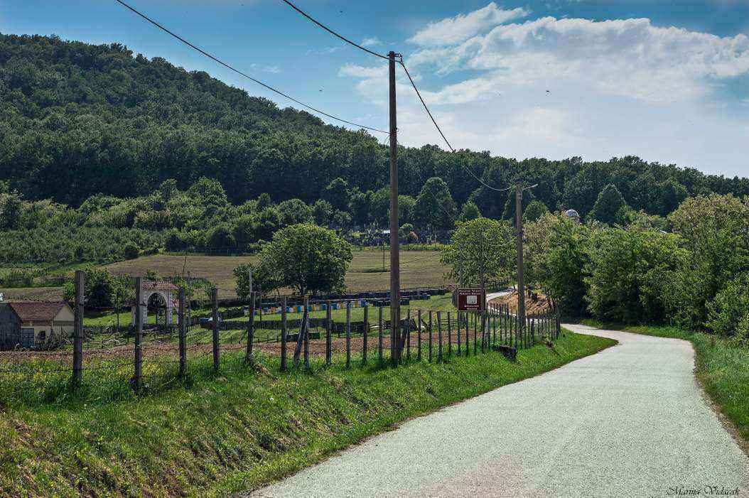 Petkovica.jpg