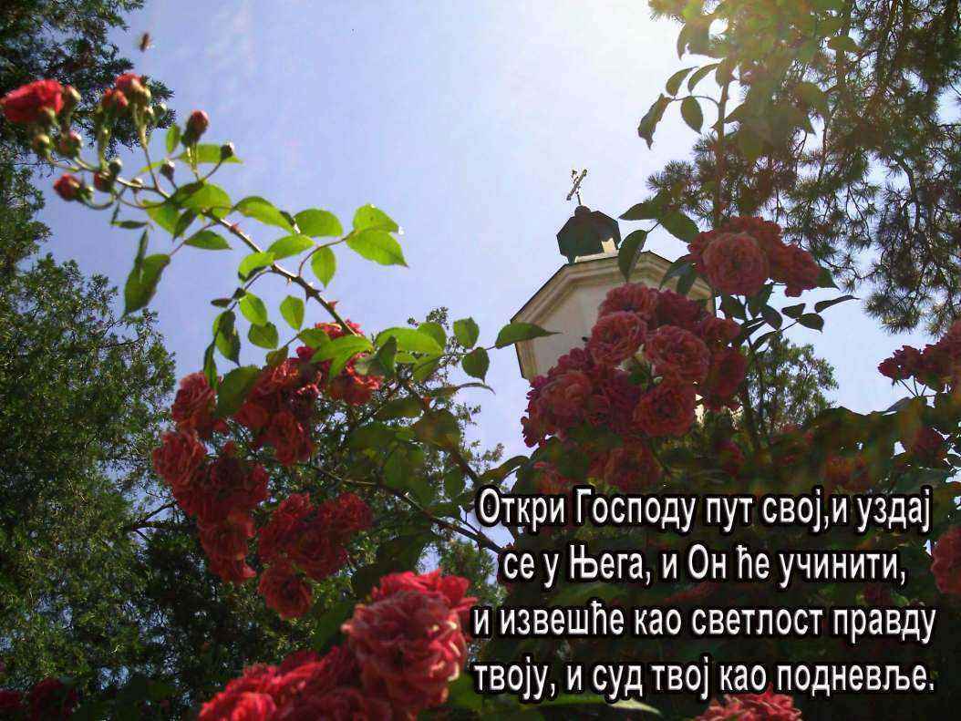 AAAA0014 copy.jpg