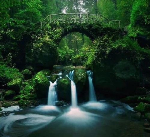 image.png.d92edd94807e091f84e32cf5d809d75b.png