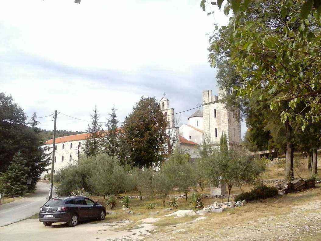 CAM05561.jpg