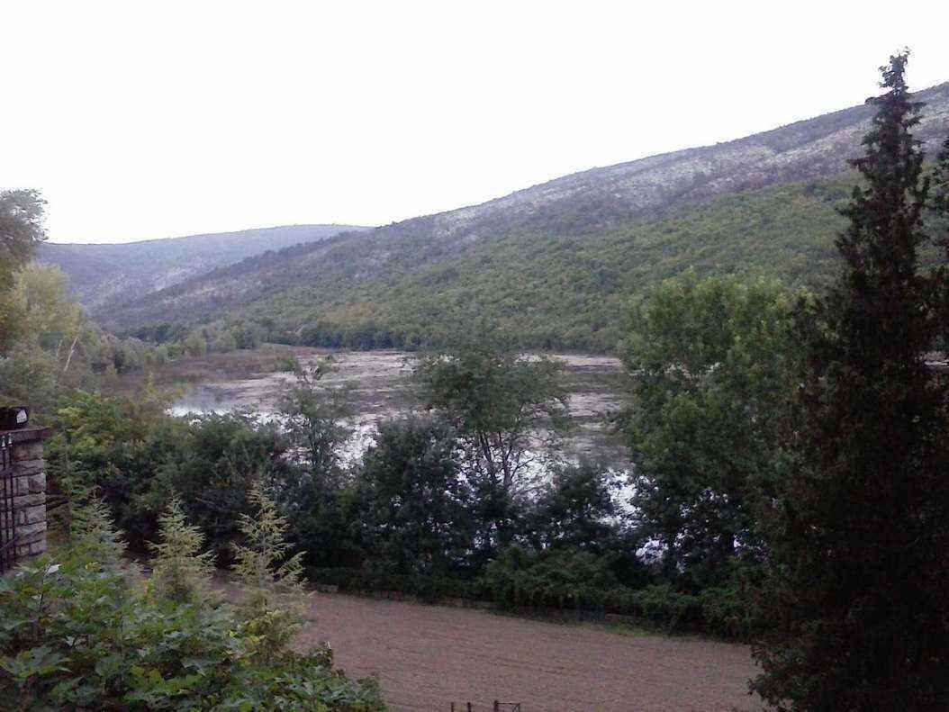 CAM05607.jpg