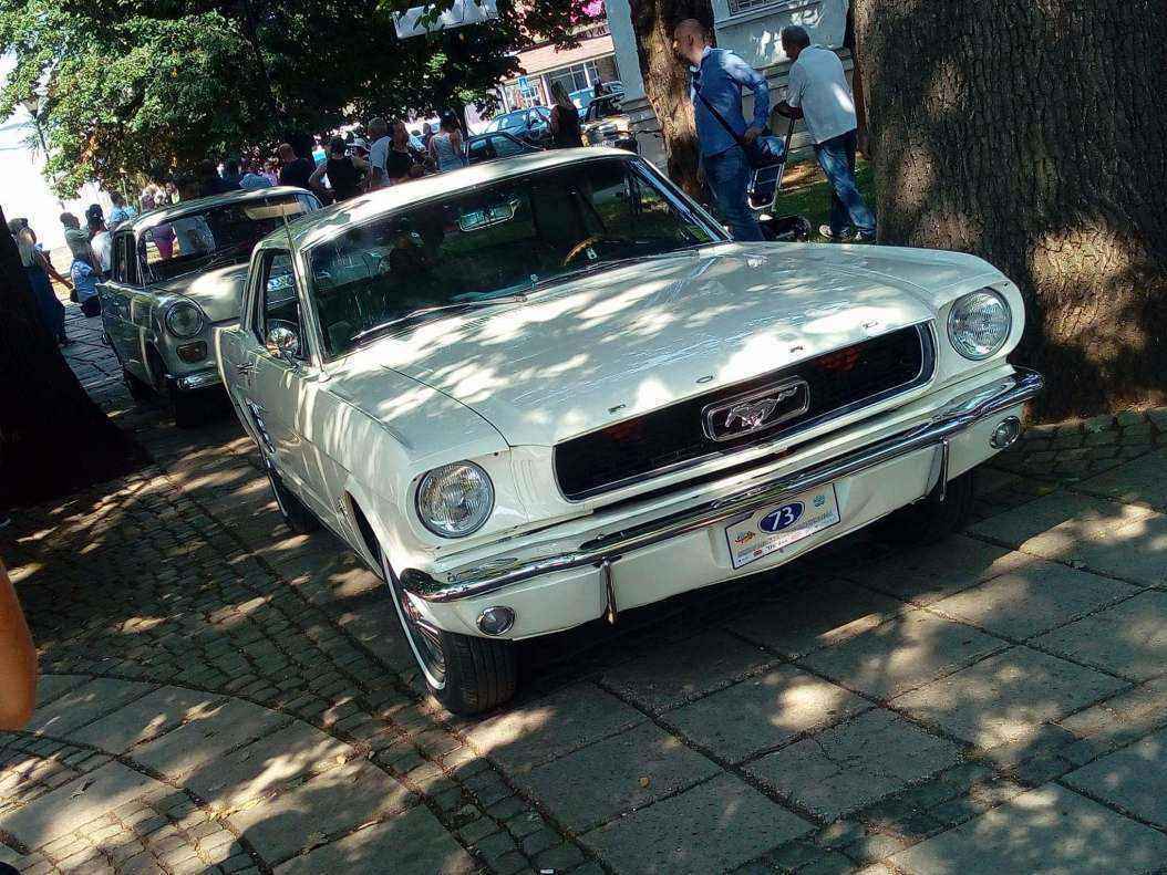 received_704205413263578.jpeg